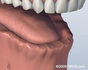 An illustration of a human mouth with a focus on the teeth and tongue.