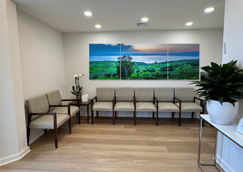 A waiting room with a large wall-mounted photograph depicting a scenic landscape, featuring a tree, sky, and horizon, set against a backdrop of a sunset.